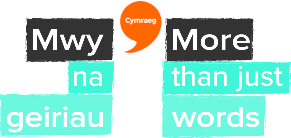 bilingual-more-than-words